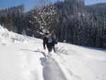 Skurečená 2009