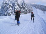 Skurečená 2009