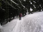 Skurečená 2009