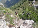 Dolomity