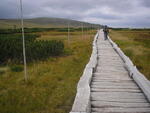 Krkonoše 2009